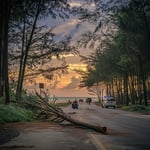 Unexpected Tragedy: Arijus Norkus' Untimely End on Phuket's Nai Thon Beach Road image