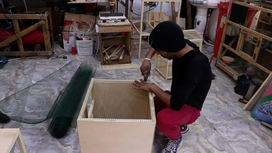 Al-Kut bird sellers innovate with bespoke bird cages