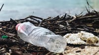 ئه‌م 5 هۆكاره‌ بزانیت ئاوى بتڵی پلاستیک ناخۆیته‌وه‌
