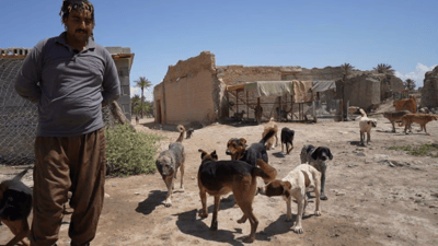 Dog breeder in Diyala rejects society and prefers life with his pooches
