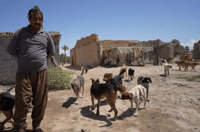 Dog breeder in Diyala rejects society and prefers life with his pooches