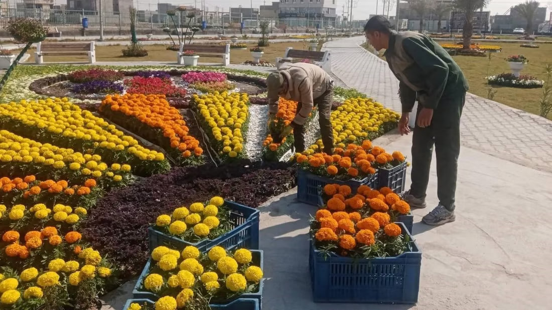 Abu Al-Khaseeb municipality launches major planting campaign