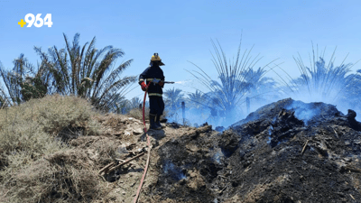 Fallen power lines set fire to date palm orchard in Basra