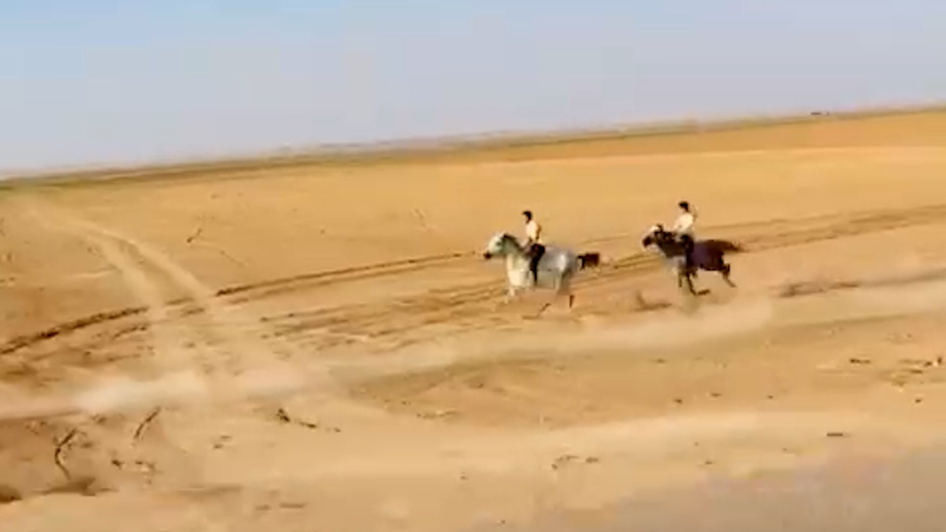 (فيديو) الأغاني سعودية والخيول عراقية.. 