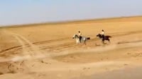 (فيديو) الأغاني سعودية والخيول عراقية.. 