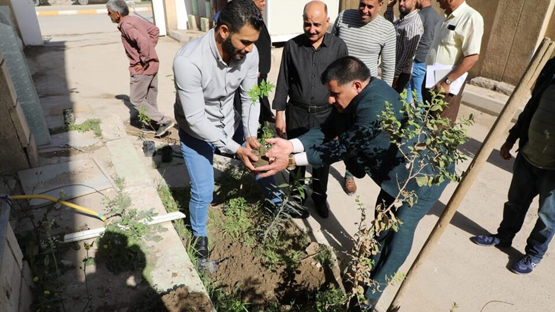 صور: الديوانية تباشر بالتشجير ضمن حملة "زراعة 5 مليون شجرة ونخلة في البلاد"
