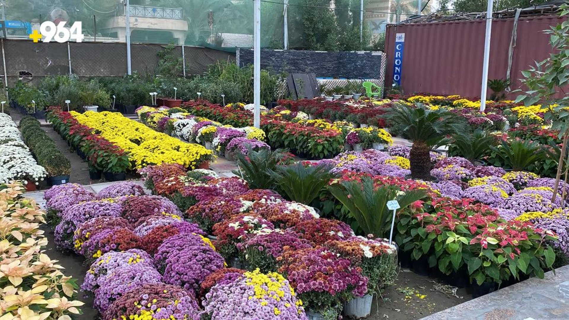 PHOTOS Nasiriyah flower exhibition encourages locals to pick up gardening