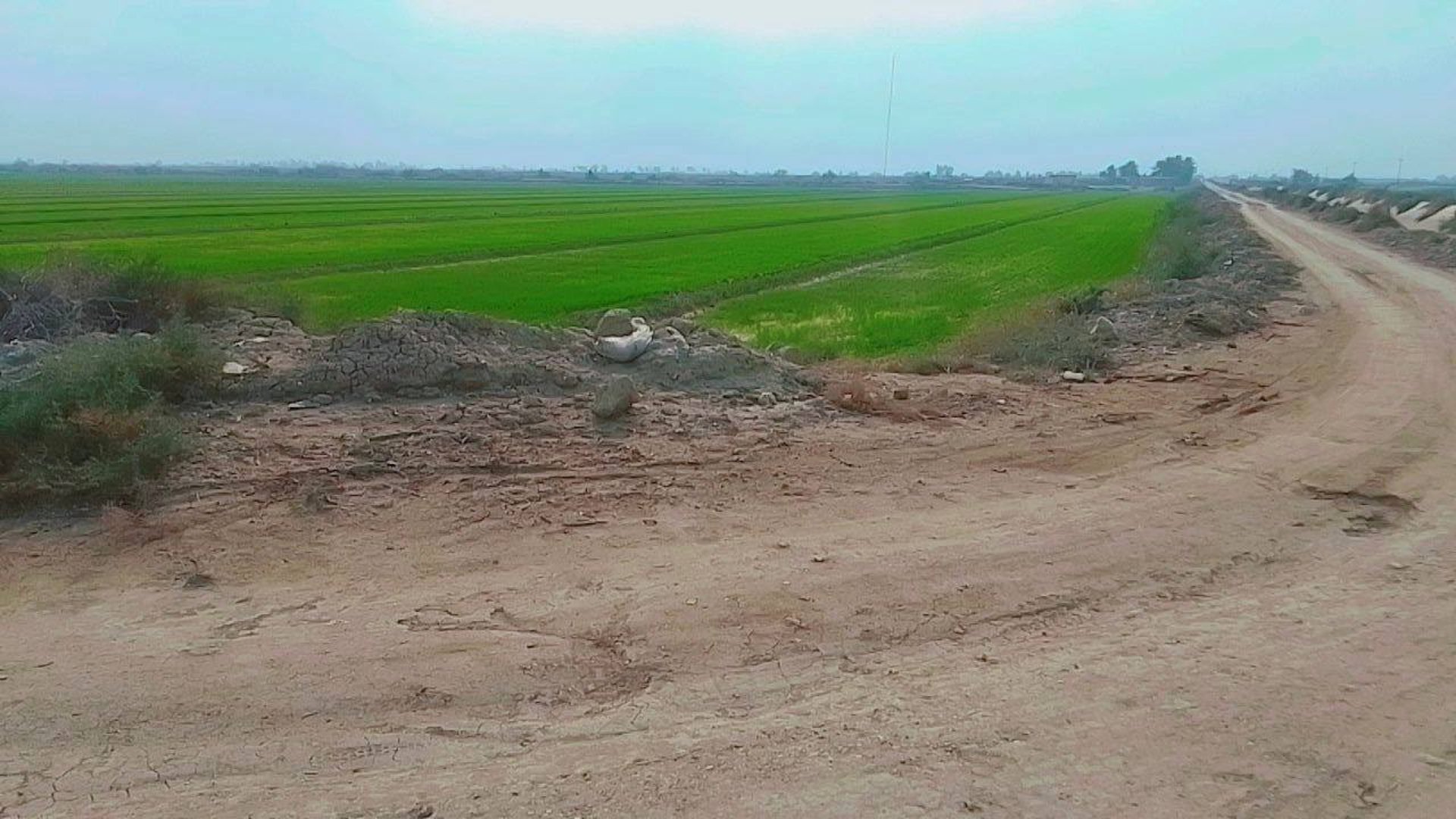 الحمد لله الماء موجود ولكن.. رسائل مزارعي الدجيلي عبر 964