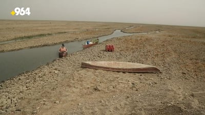 MP warns of potential for mass migration due to Iraq’s drought crisis
