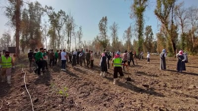 إحياء الجزء المحترق من غابات الموصل بأشجار تنمو سريعا (صور)