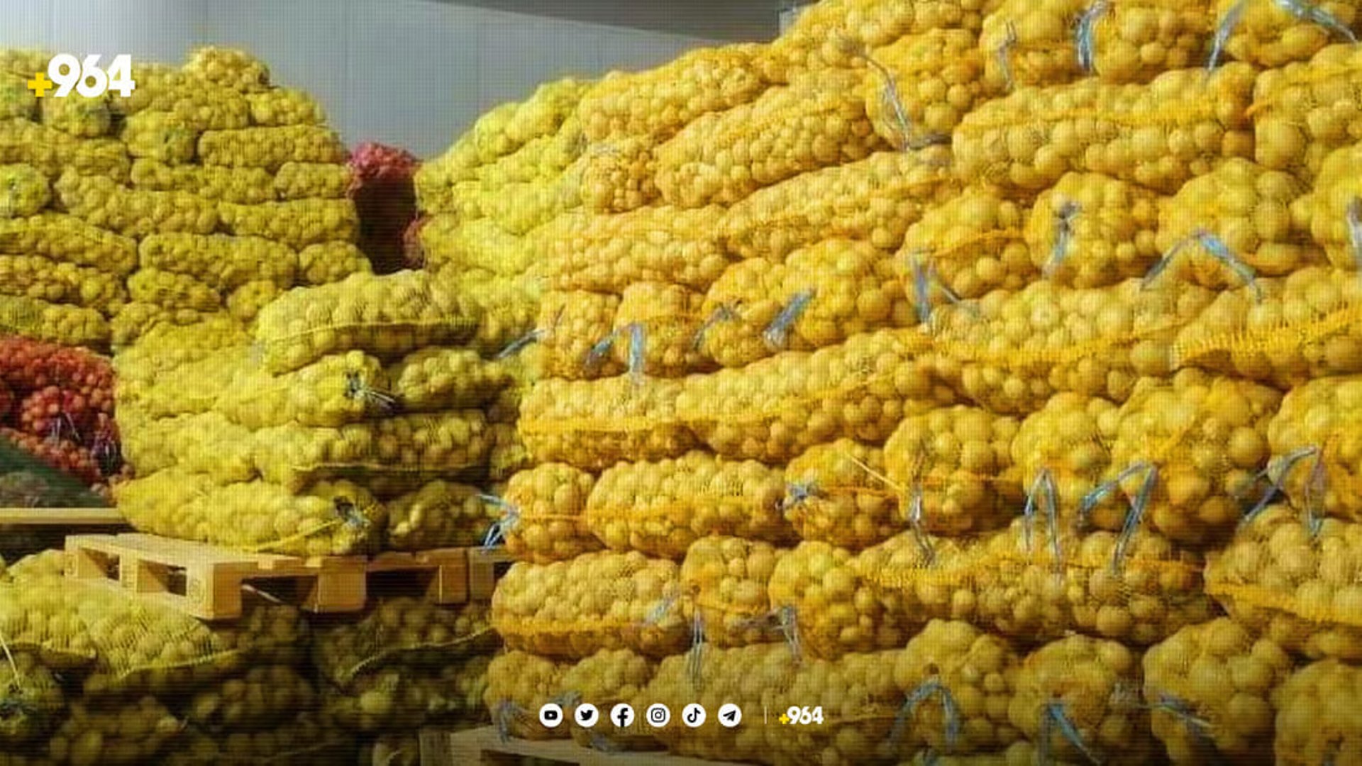 Kurdistan Ministry of Agriculture signs potato supply agreement with 11 factories for local production expansion