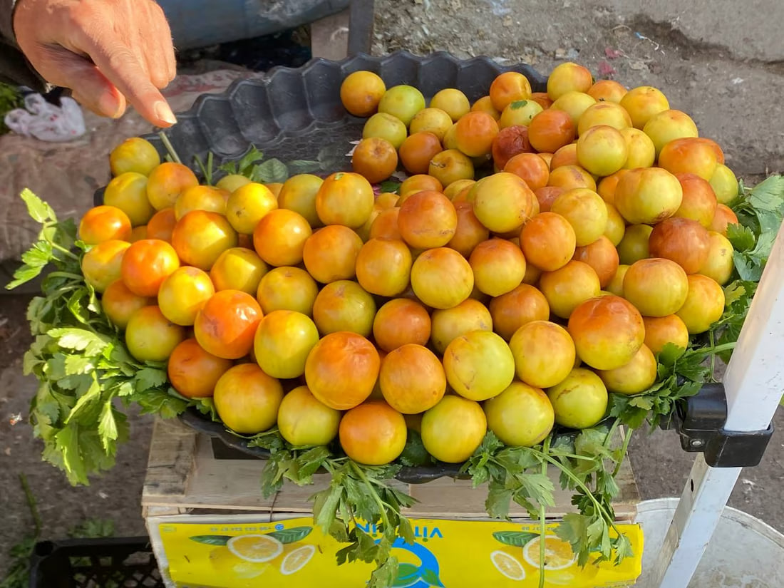 Prices for fruit, vegetables, drop in Basra markets