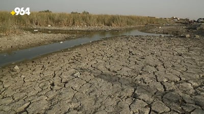 Iraq is losing 400,000 acres of agricultural land annually due to climate change