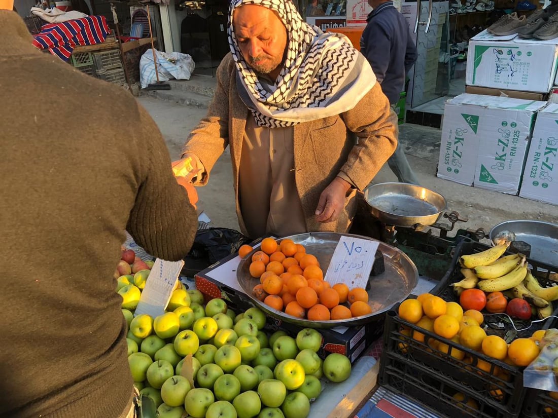 طويريج تتباهى بعلامة “عراقي” على الخضروات.. كل شيء من أربيل حتى البصرة (صور)