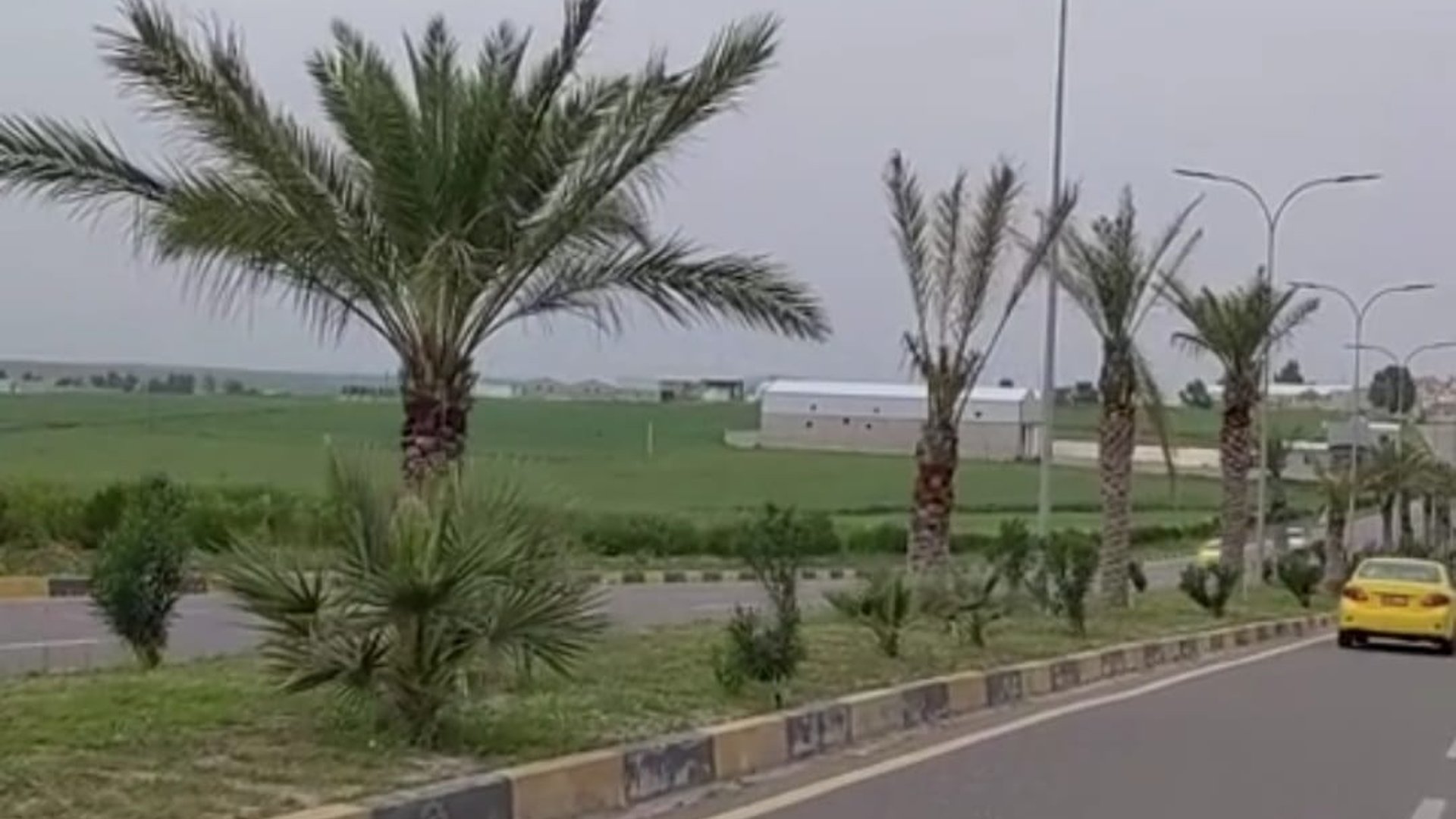 Basra farmer cultivates palm trees in Mosul and Dohuk defying conventional beliefs