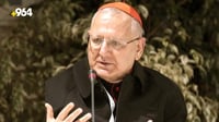 Cardinal Louis Raphael Sako calls for impartial crisis cell after investigation results
