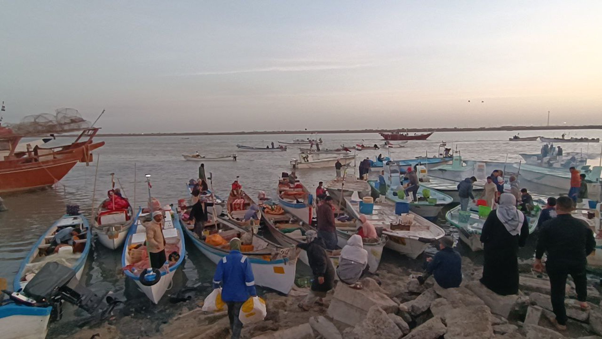 صور من مزاد النقعة الكبير: زبائن المحافظات رفعوا أسعار الصبور إلى 300 ألف دينار