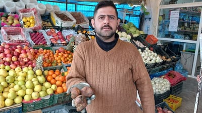 Truffles from Kurdistan mountains compete in Iraqi markets