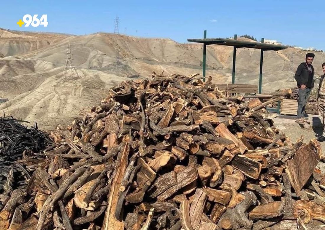Soran authorities arrest 30 suspects this year for illegal logging