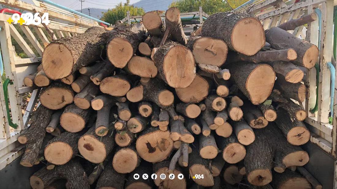 Forestry police in Duhok arrest traders for illegal logging
