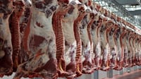 Import duties slashed in response to rise in meat prices