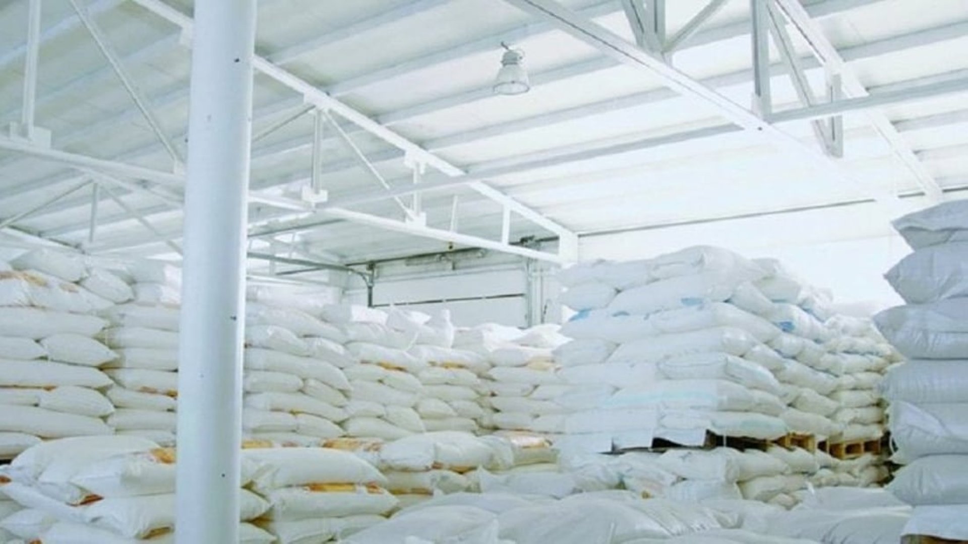 Iraq launches domestic zerograde flour production