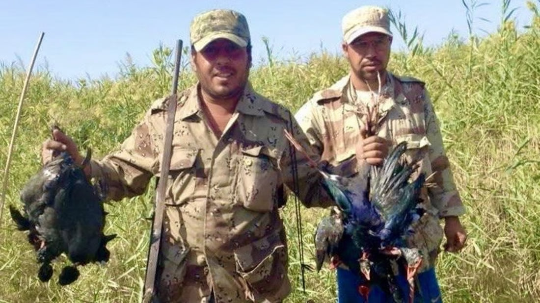 Bird hunting persists in Basra despite declining populations and ban