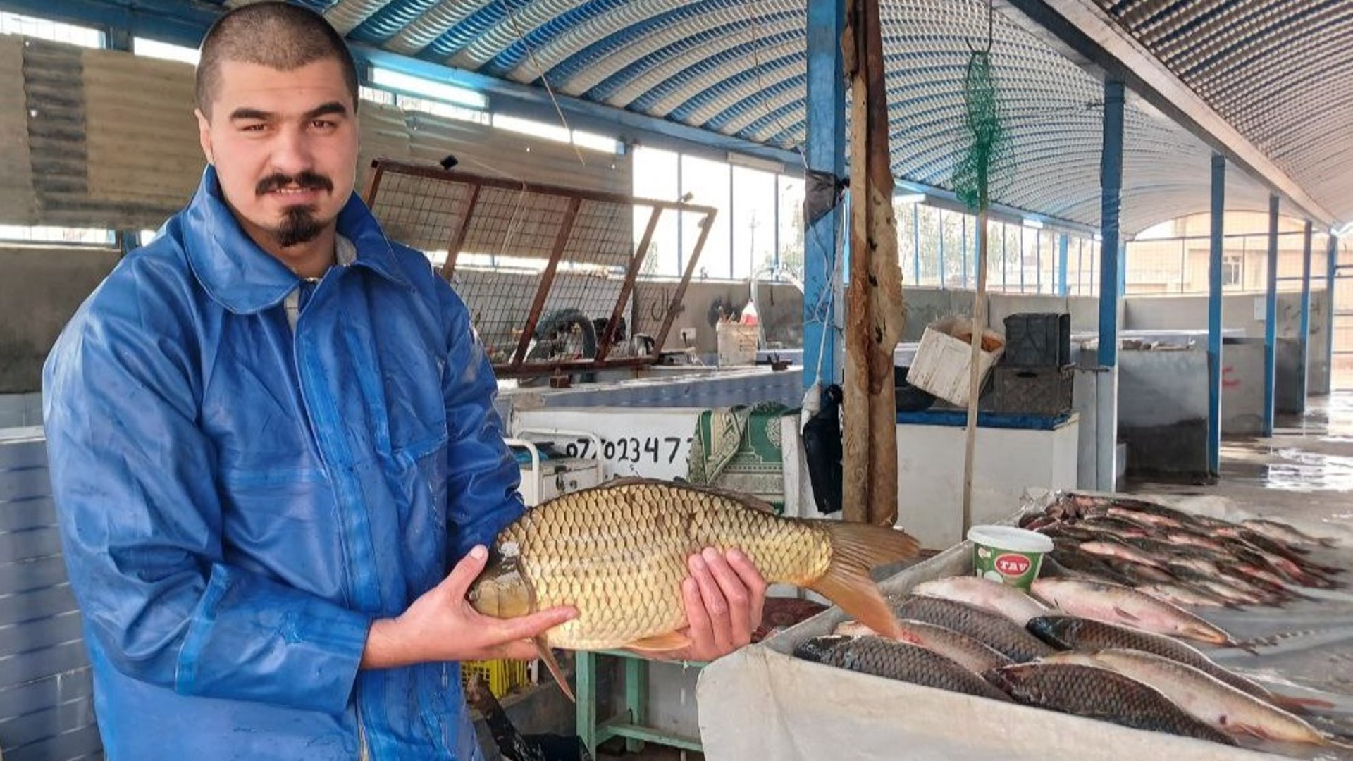 فيديو: سوق السمك في الحويجة يغير الأذواق.. الزبائن عادوا إلى الشبوط ضد الكارب