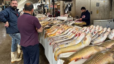 Annual production in Kurdistan region’s fisheries grows to 8,000 tons