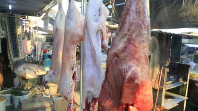 لحم الغنم يقفز 4000 دينار وبعقوبة تشتري الأبقار من أربيل (صور)