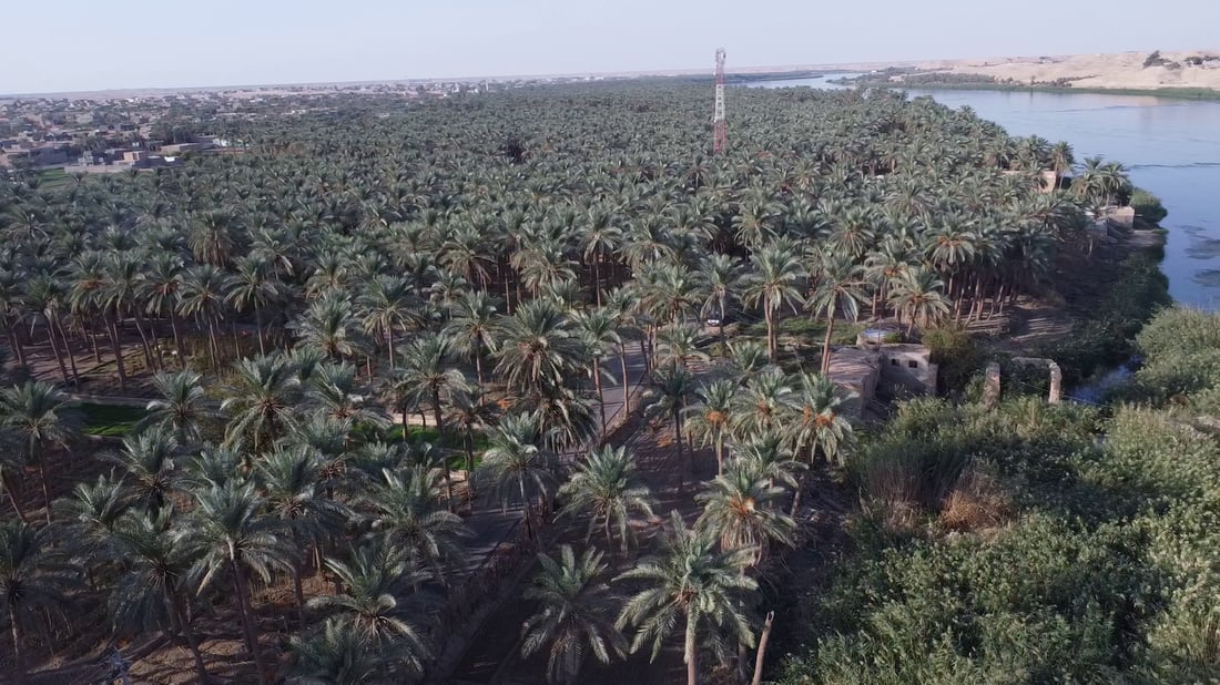 الموارد تدرس كيفية تأمين المياه لـ5 ملايين شجرة أمر السوداني بزراعتها في البلاد