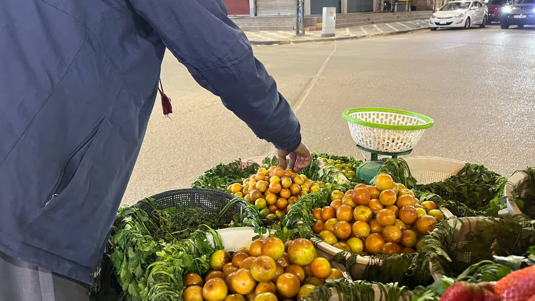 Basra markets flourish with in-season nabq varieties