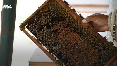 Duhok faces mounting threat to bee populations