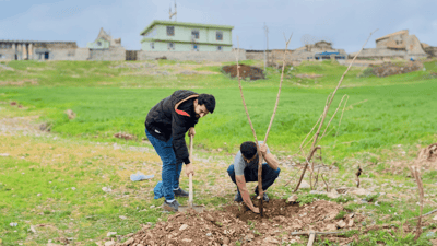 Two young men lead community effort to plant fruit trees along village road