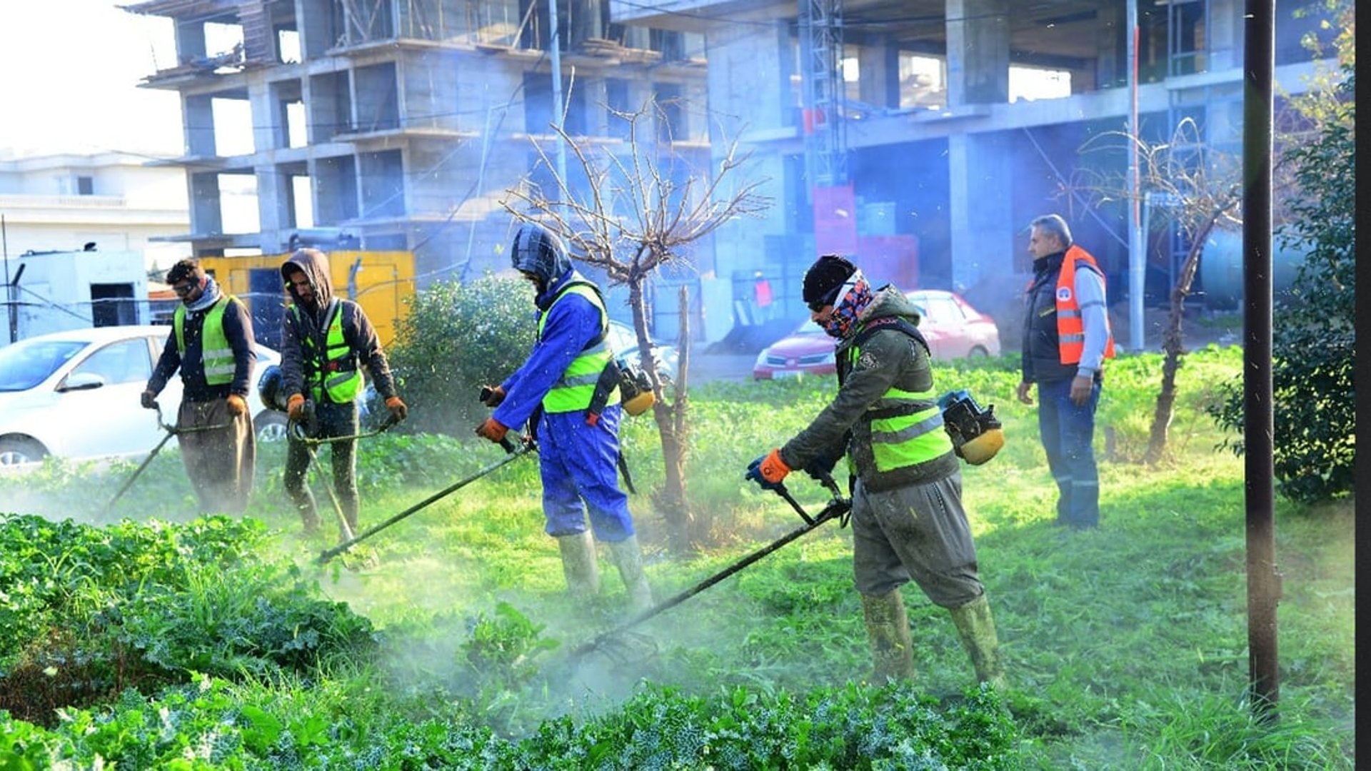 Erbil launches campaign to clean and organize green spaces