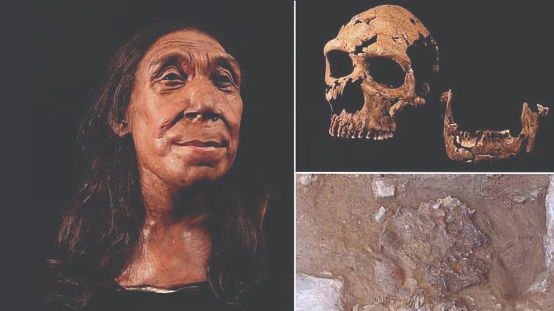 Neanderthal woman’s face reconstructed from 75,000-year-old skull