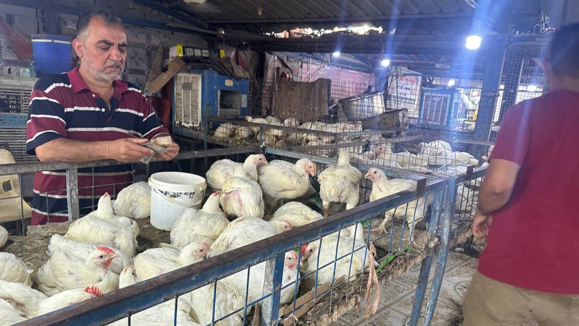 باعة الدجاج في سوق الشيشان: حين توزع رواتب الرعاية يتحرك السوق ونسدد دين التجار