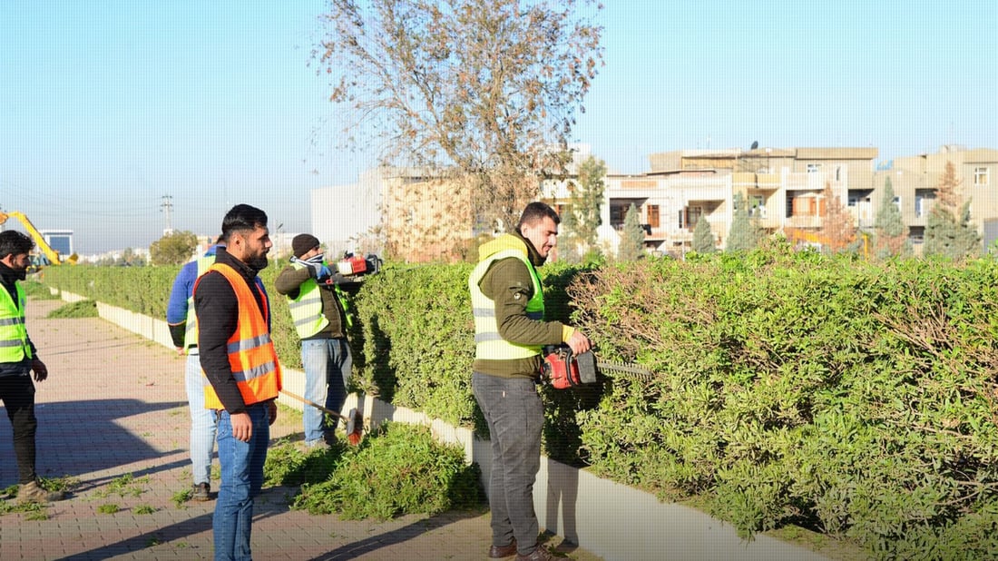 Erbil undertakes tree pruning in parks and gardens