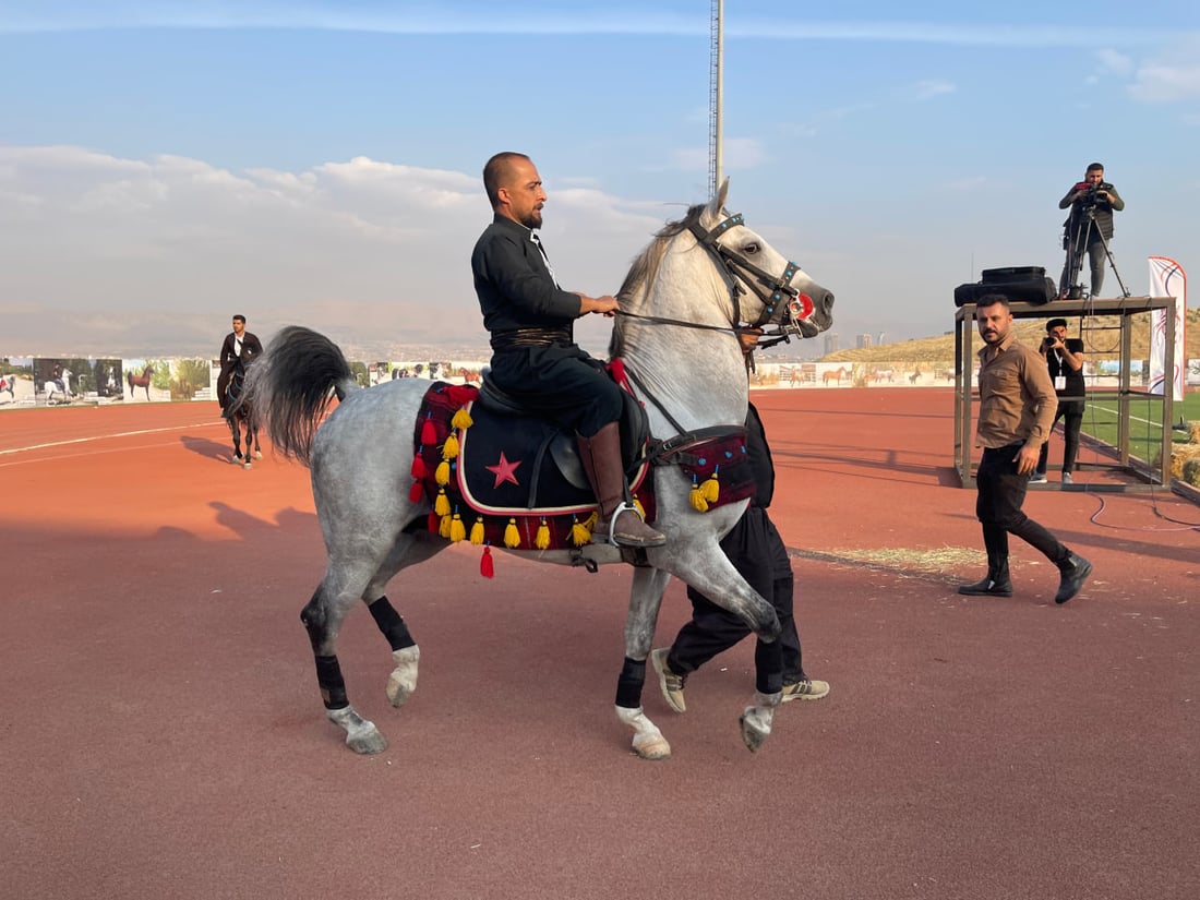فيديو: 30 فارساً يستعرضون خيولهم الأصيلة في يوم تأسيس السليمانية.. قوية ومتسامحة