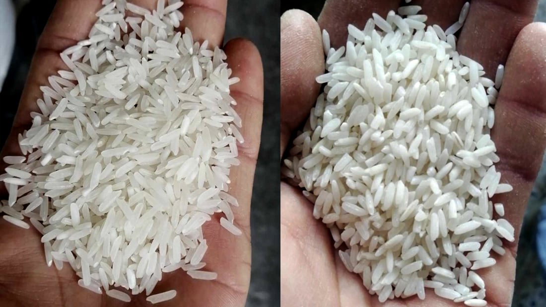 له‌ ئیداره‌ى راپه‌ڕین دوو جۆر برنجى جیاواز به‌سه‌ر بریکارەکانی خۆراک دابه‌شكراوه‌
