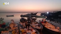 فيديو ساحر من ساحل الفاو: الصيادون عادوا بأسماك نادرة م...