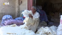 فيديو: ندافو البصرة يصنعون الفراش من قطن الحويجة.. وسوق...