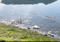 Duhok Dam faces waste management crisis as officials shift blame