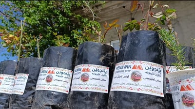 Sulaymaniyah village distributes 300 saplings for Eid