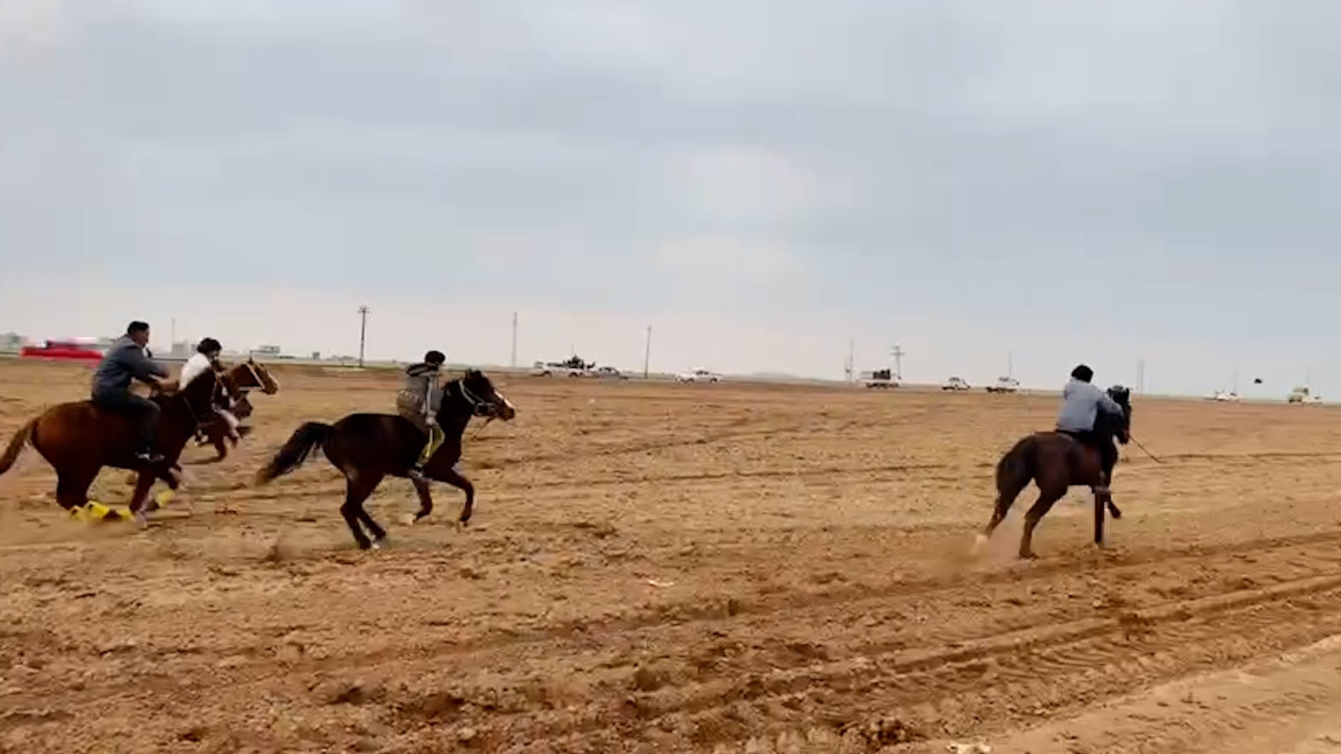 فيديو: الخيول ورقصة الدحّة في صحراء الموصل أيضاً وأيضاً.. ربيعة تجمع فرسان نيوى