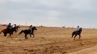 فيديو: الخيول ورقصة الدحّة في صحراء الموصل أيضاً وأيضا...