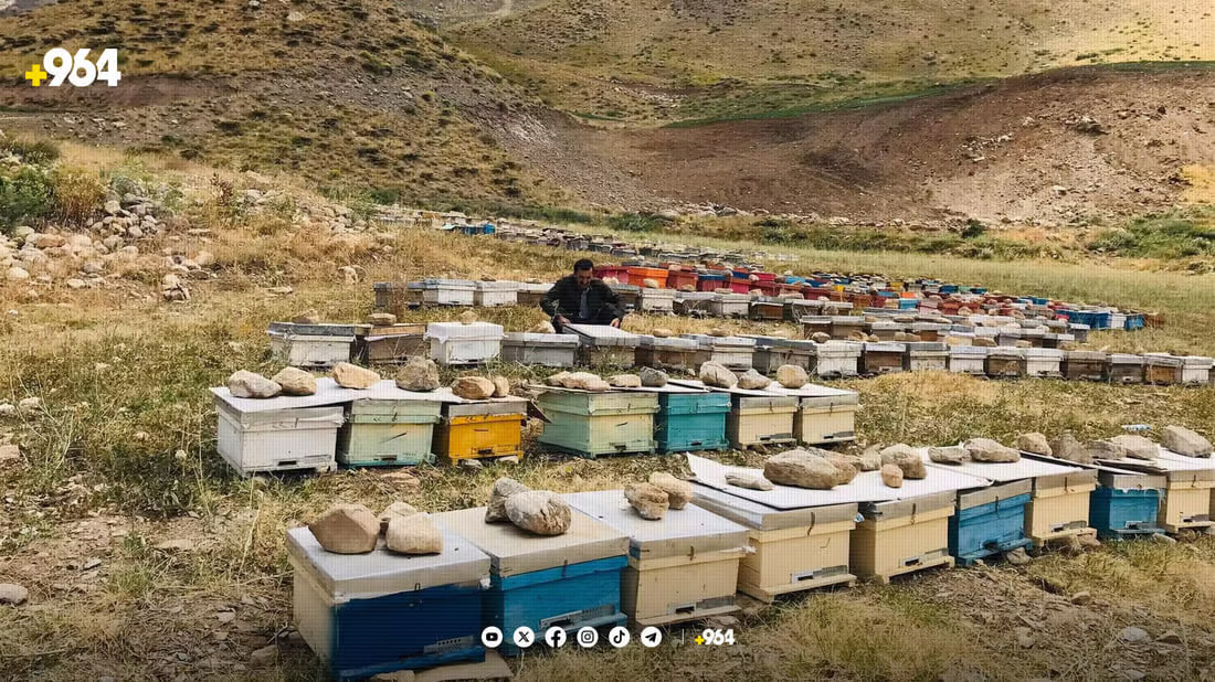 Kurdistan’s beekeepers advocate for import restrictions