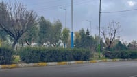 Sulaymaniyah approaches international standards in greenery efforts,