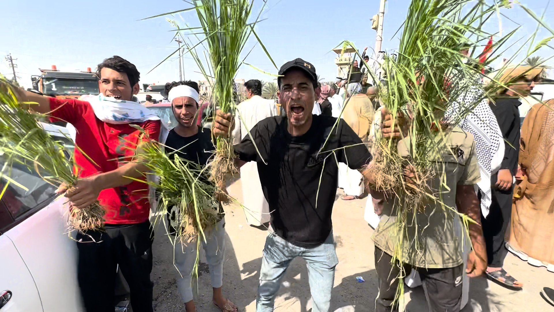 فيديو: إغلاق طريق الجنوب ومتظاهرون من 3 محافظات يتجمعون في الشامية