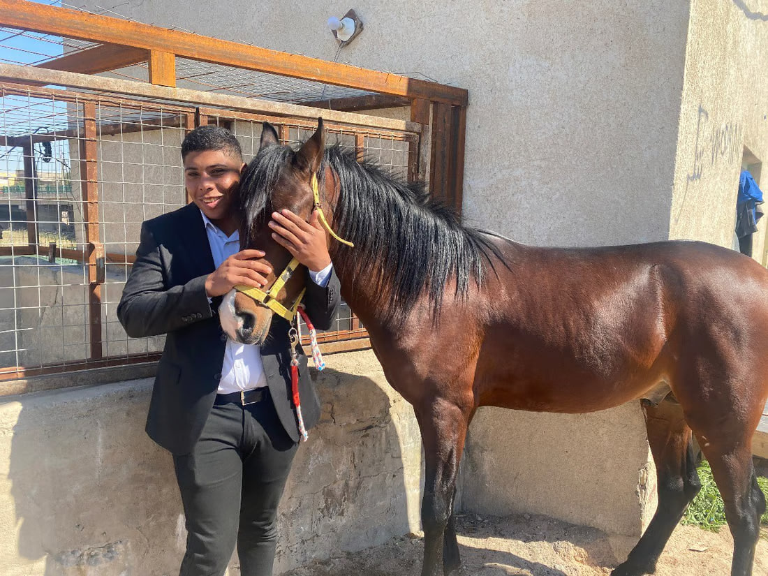 Calls for reviving equestrian heritage in Maysan
